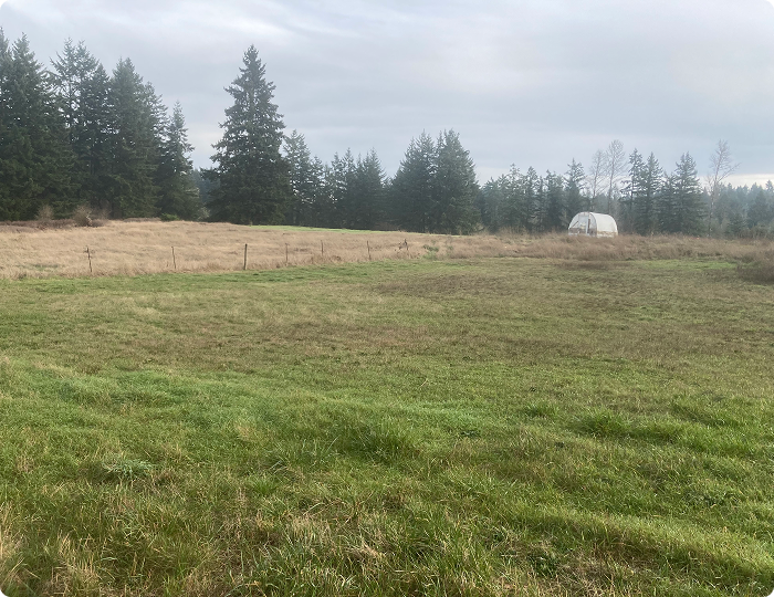 off grid yelm washington thurston county rv boat storage (1)